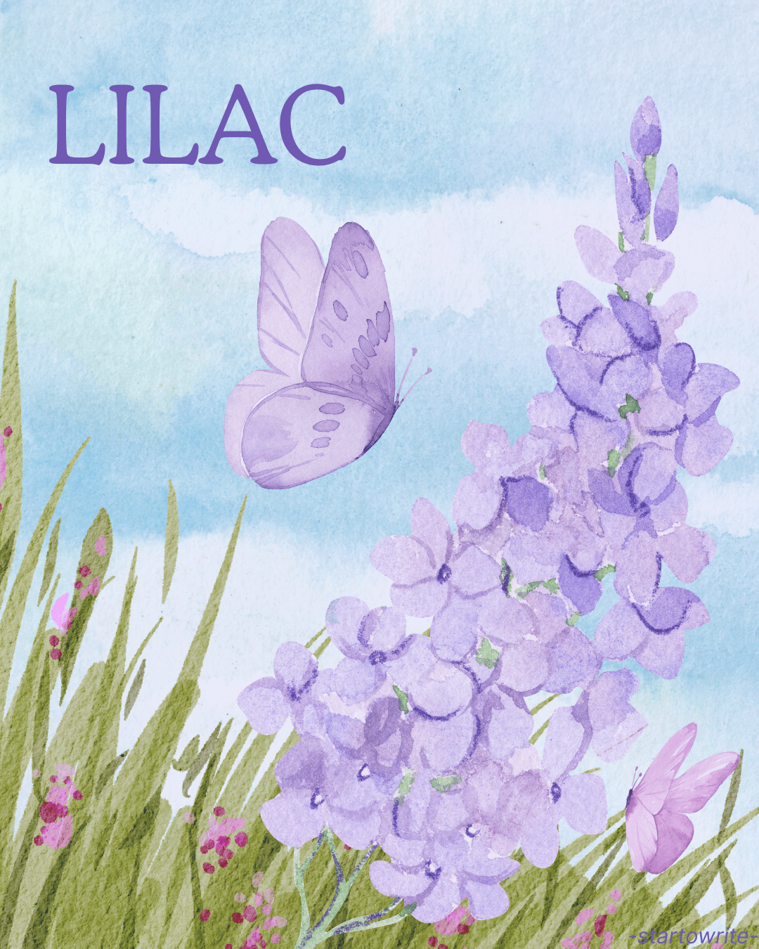 Lilac