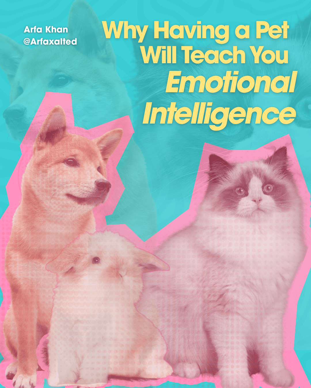 Why Having a Pet will Teach You Emotional Intelligence