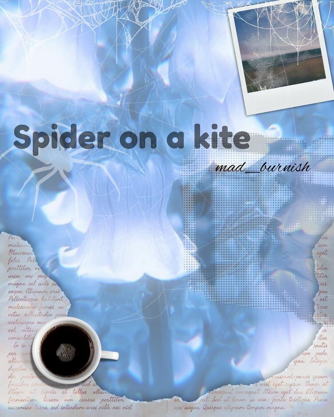 Spider On A Kite